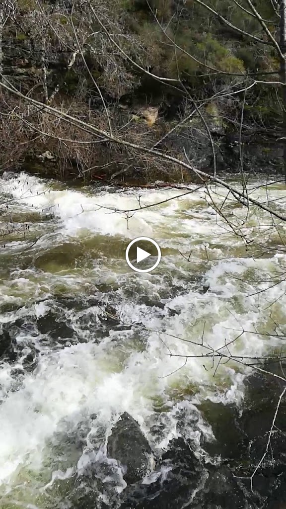Merendeiro Do Arnego — Videos