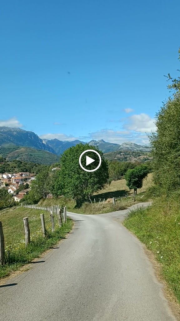 Videos