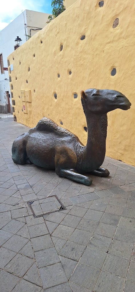 Estatua camello — Mas recientes