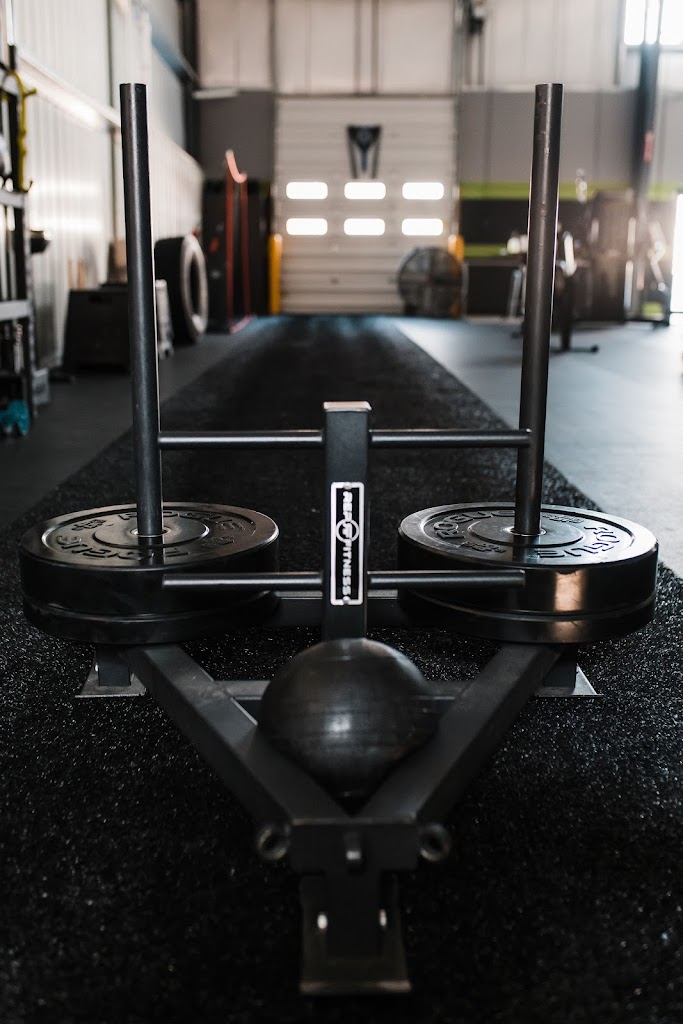  Back to Basics Movement & Training