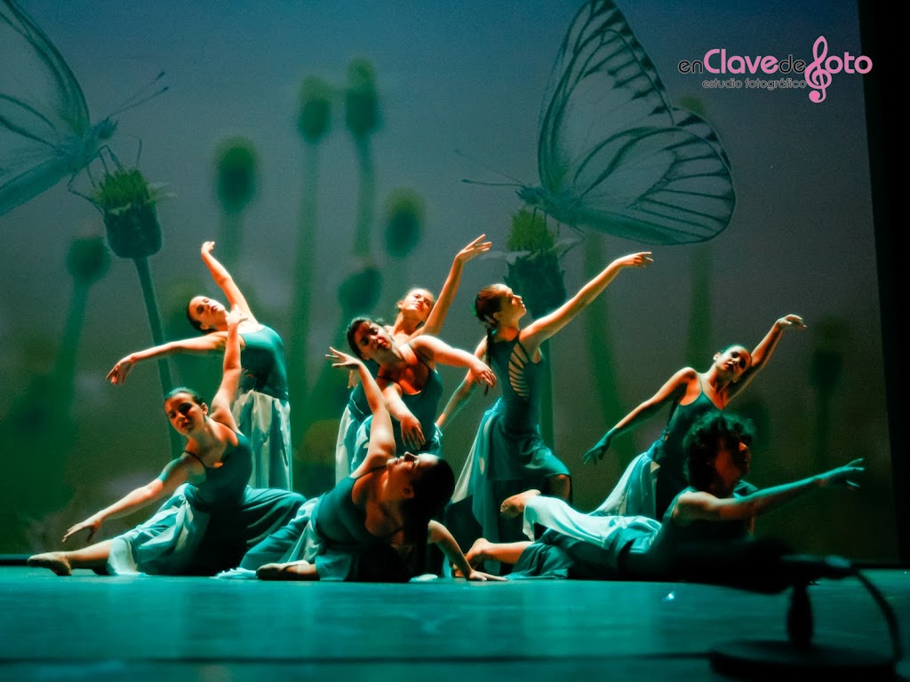 Academia de Danza Margarita Amante — Del propietario