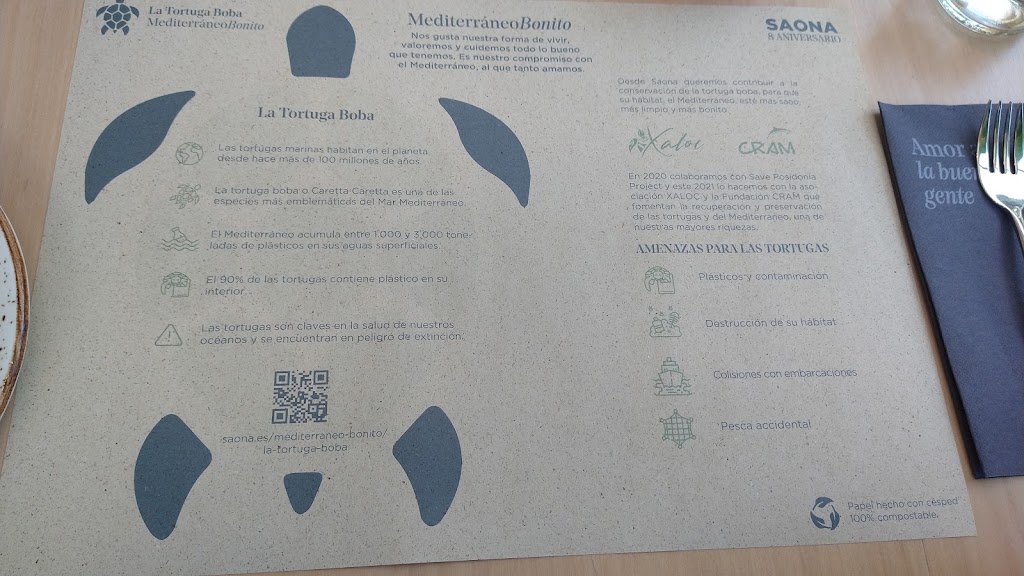 Saona Torrent — Carta