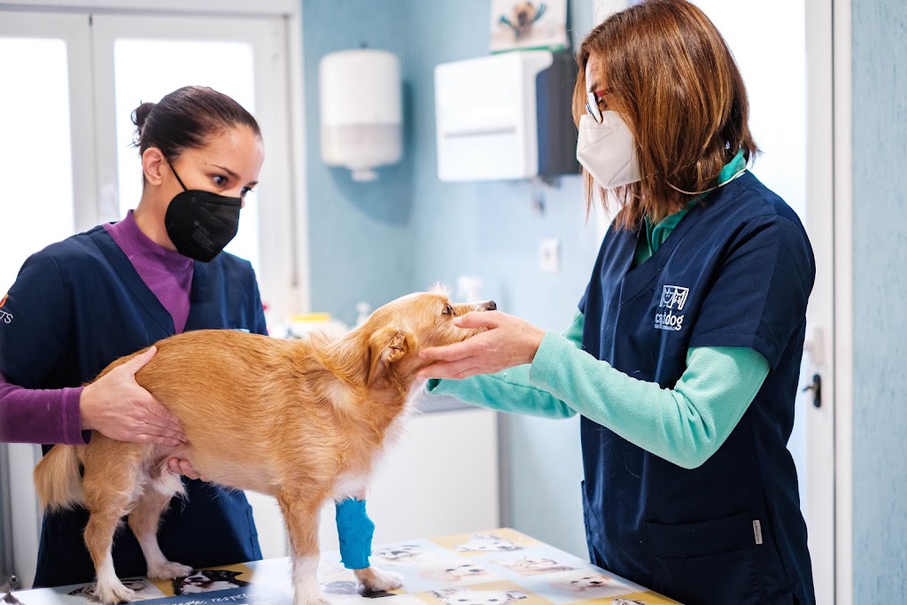 Centro Veterinario Catdog Tomares — Del propietario