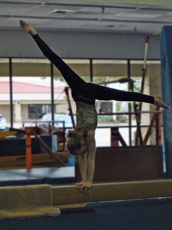  Iarov Elite Gymnastics