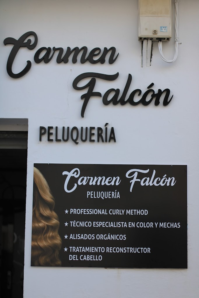 Carmen Falcon Peluqueria