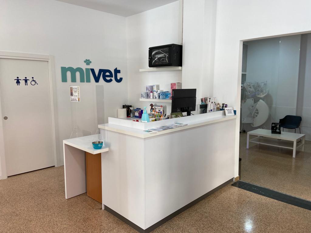 Clinica Veterinaria Crevillente | MiVet — Del propietario