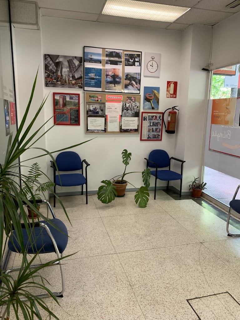 English Connection Academia de Ingles - Alcala de Henares Barrio Venecia — Del propietario