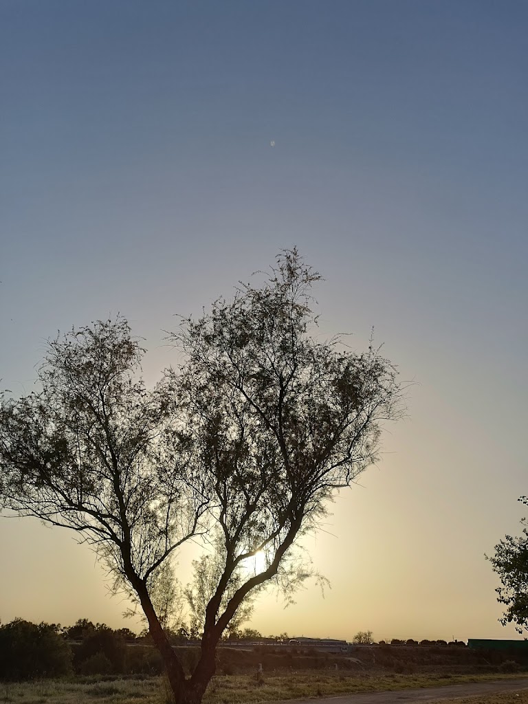 Aparcamientos Laguna y Campo de Futbol