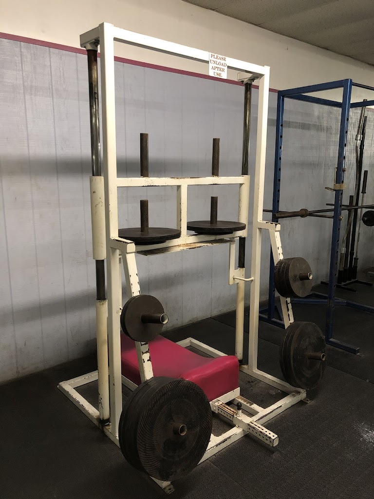  Hammer Forged Fitness