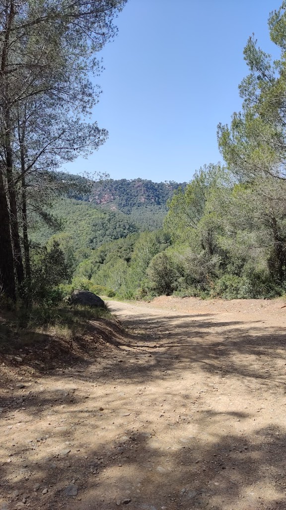 La Carrerada