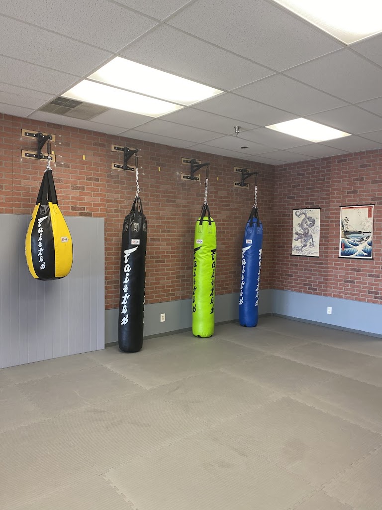  Kaminari martial arts