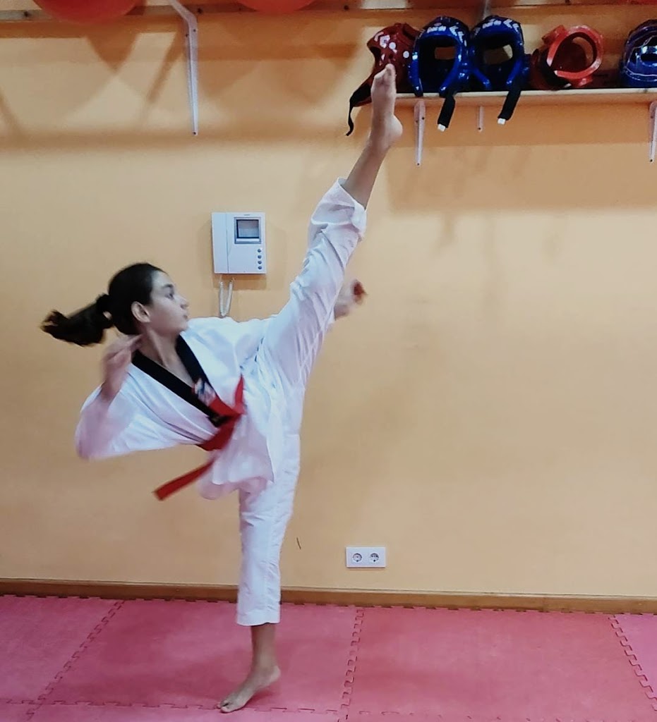 Taekwondo Lee - Puerto