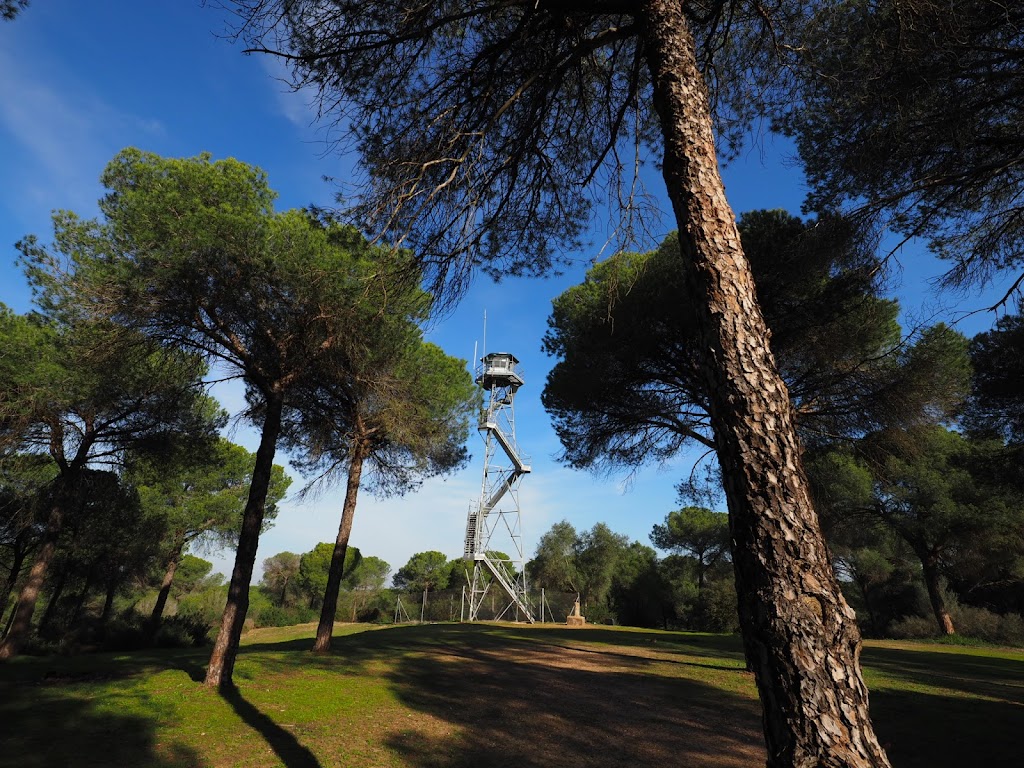 Pinares De La Puebla