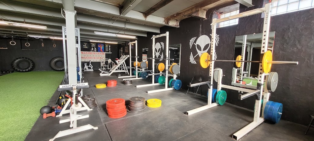  Maximum Level Fitness