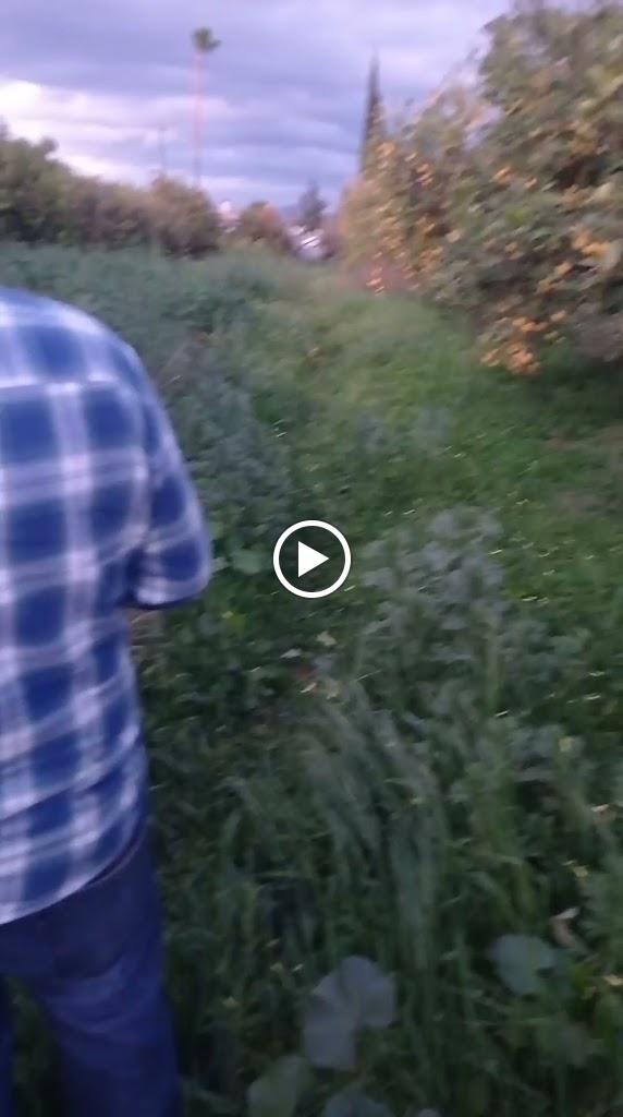 LA TASQUITA D' LOURDES — Videos