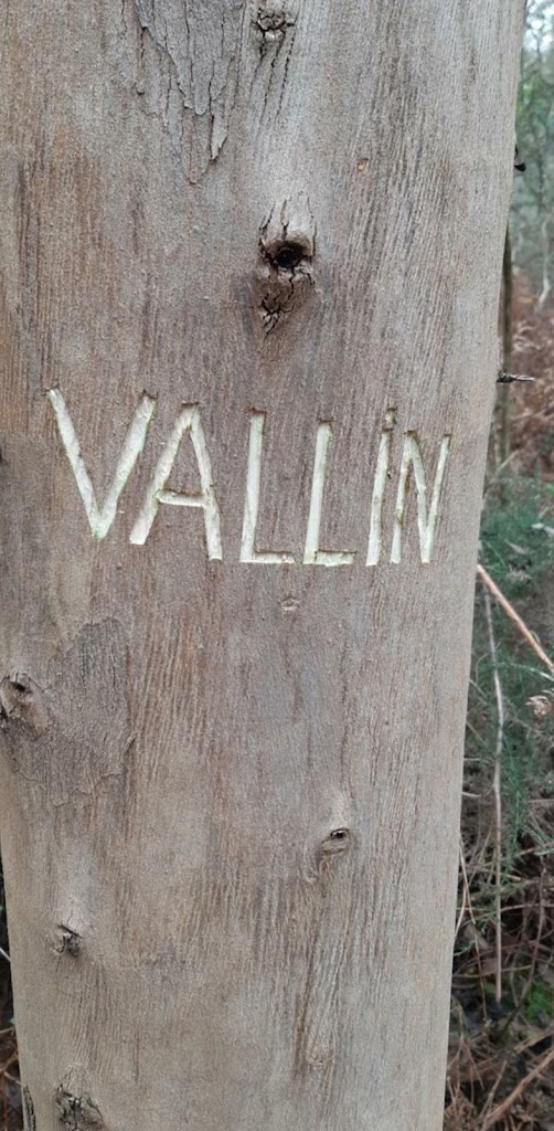 Vallin (135 m.) Techo de Aviles