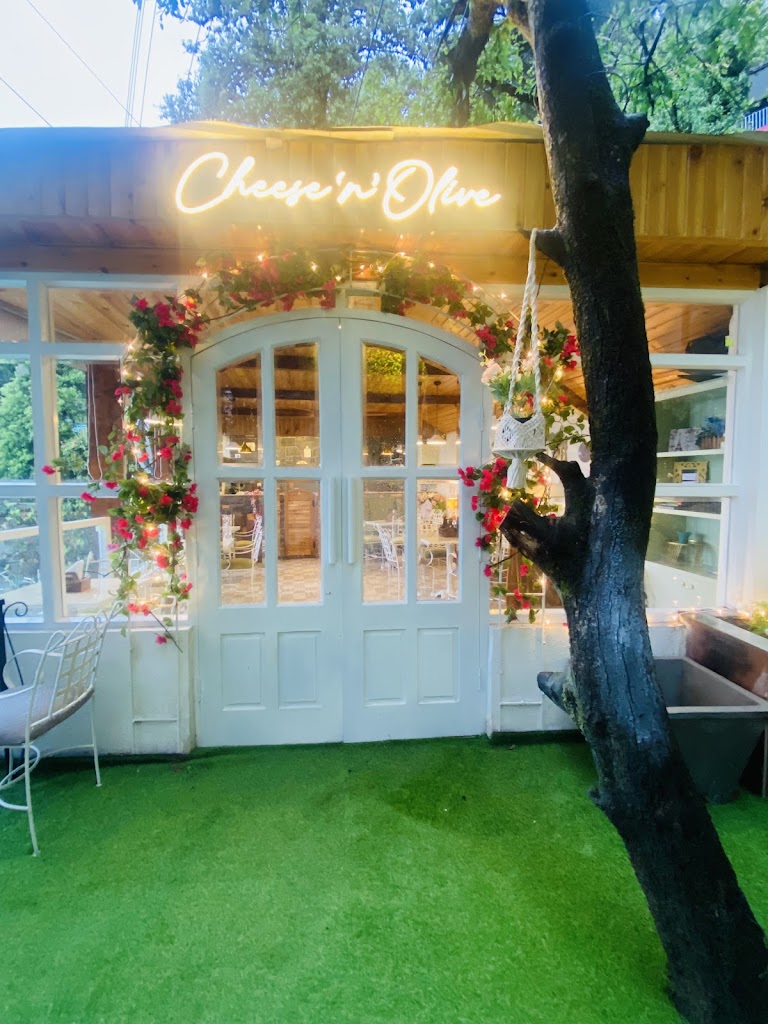Cheese N Olive Bar
