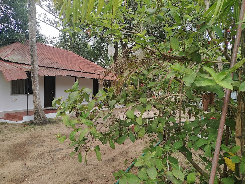 Green Earth Farm Stay