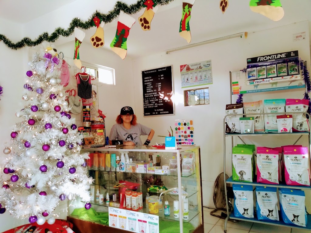 VETERINARIA MALAGA — Del propietario