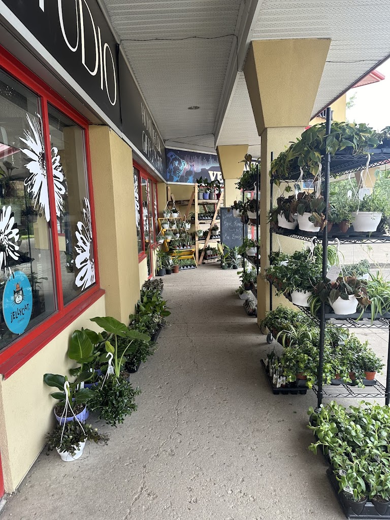 The Flower Studio, Home Decor, Plants & Gifts