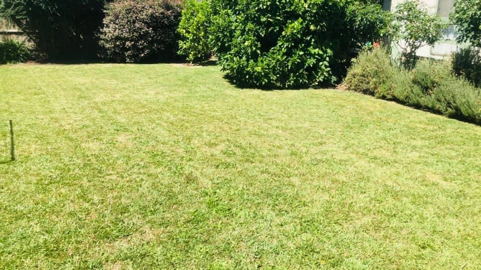 Lawn care service in Tarneit
