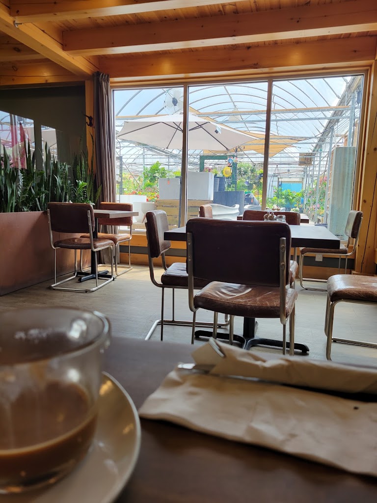 Chino's Bistro in Steinbach