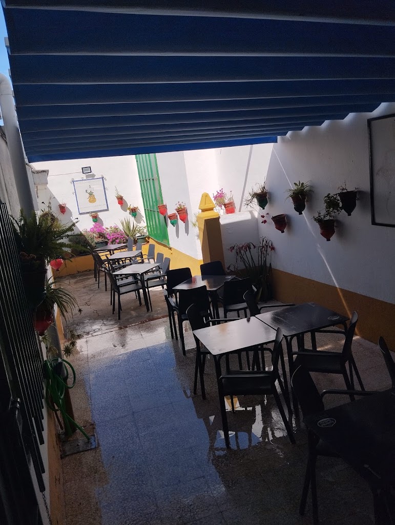 Tertulia Flamenca — Ambiente