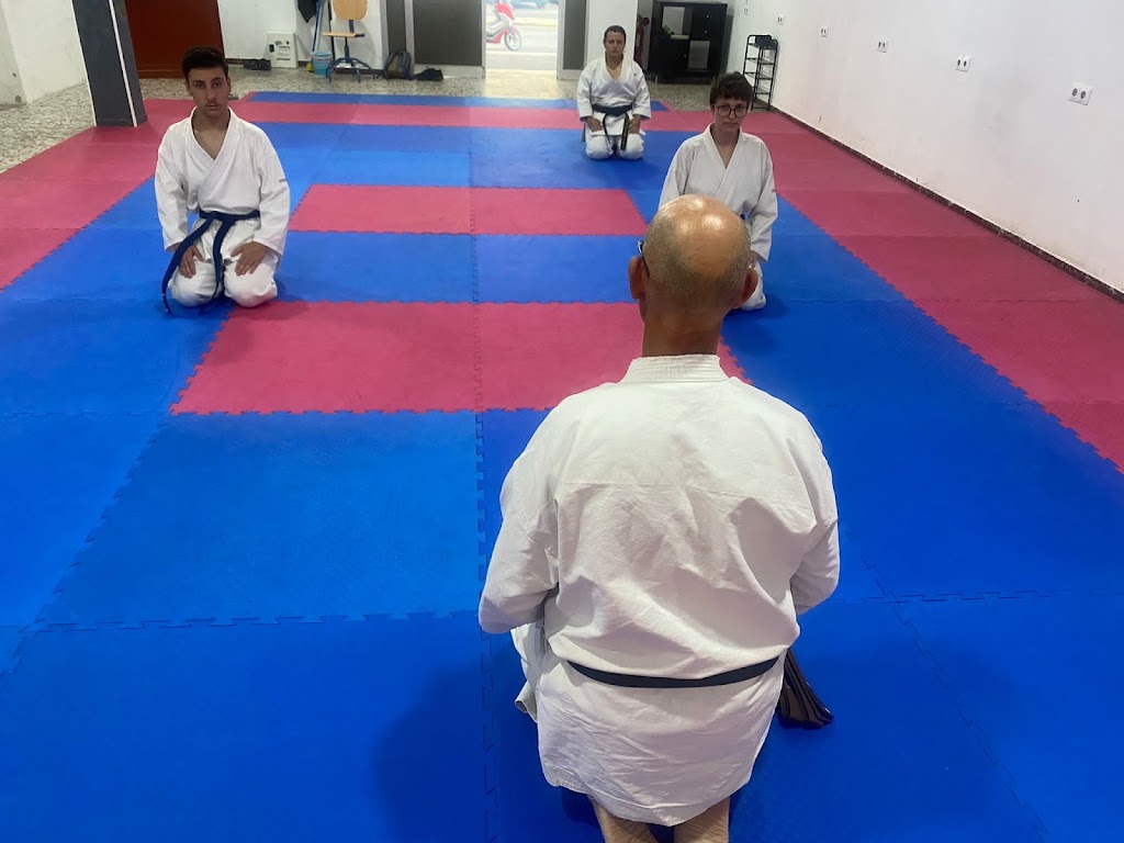 Asociacion Cultural Nogara Dojo — Comunidad
