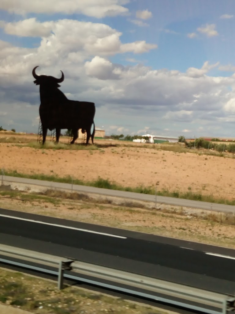 CLUB DE TENIS MANZANARES.