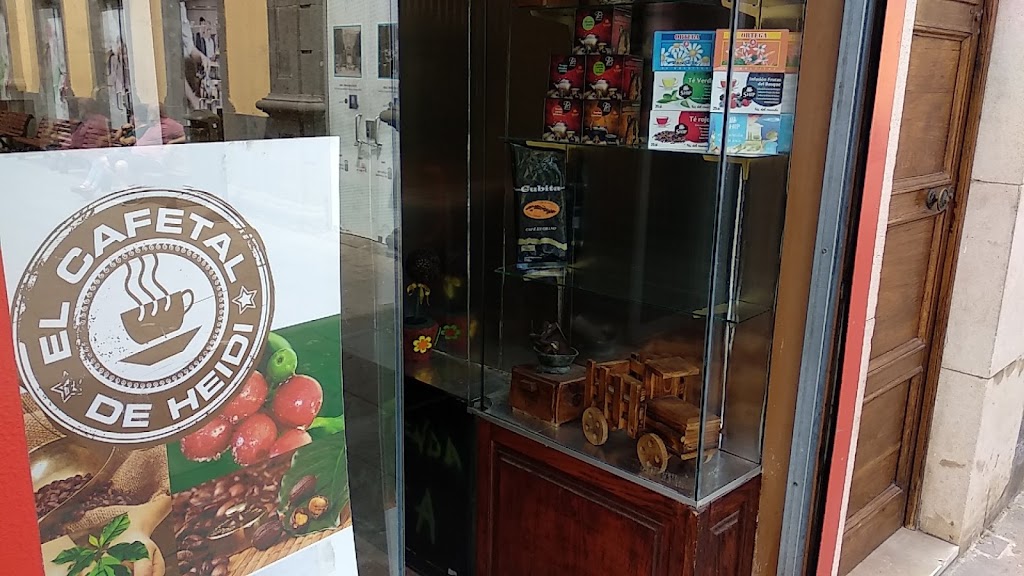 El Cafetal de Heidi — Ambiente