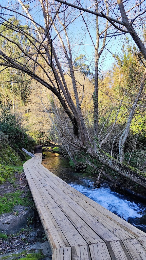 Paseo Fluvial Rio Sarela