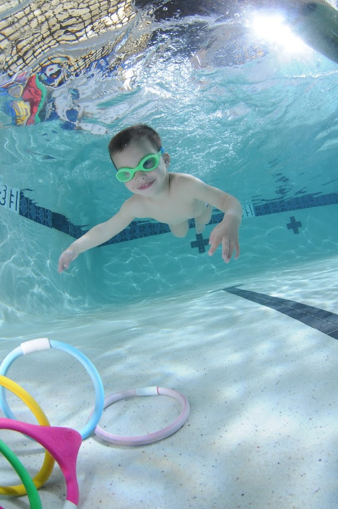  Little Whale Swim School