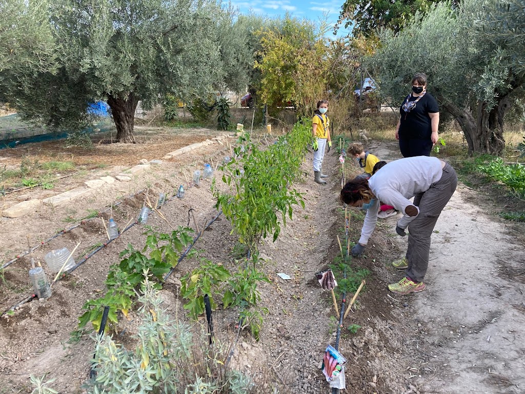 HUERTO URBANO GIRA AYTO SANT JOAN