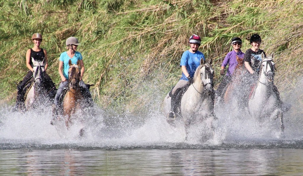 Horse Riding Spain