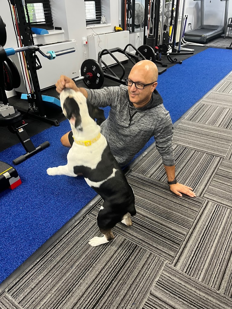  Advanced Fitness and Sports Performance