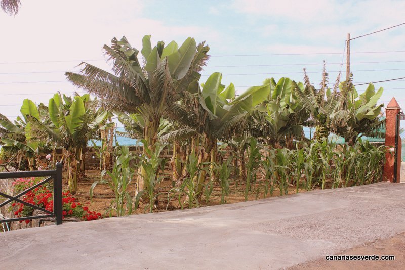 Casa rural El Pinito