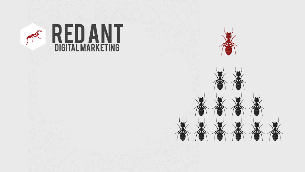 Red Ant Digital Marketing