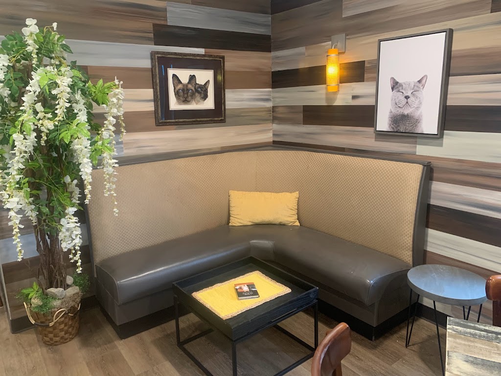 Photo of The Region Cat Cafe