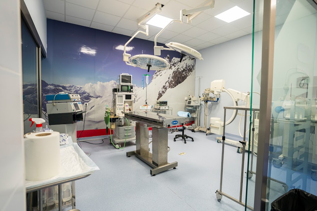 Hospital Veterinario Bodion-Zafra — Del propietario