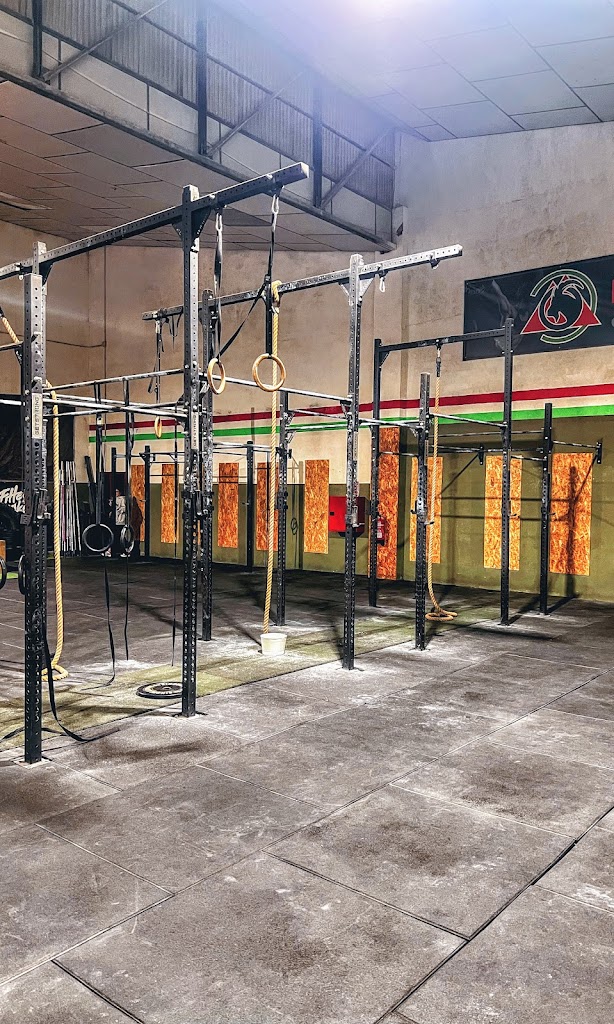 Box espuna centro de crosstraining