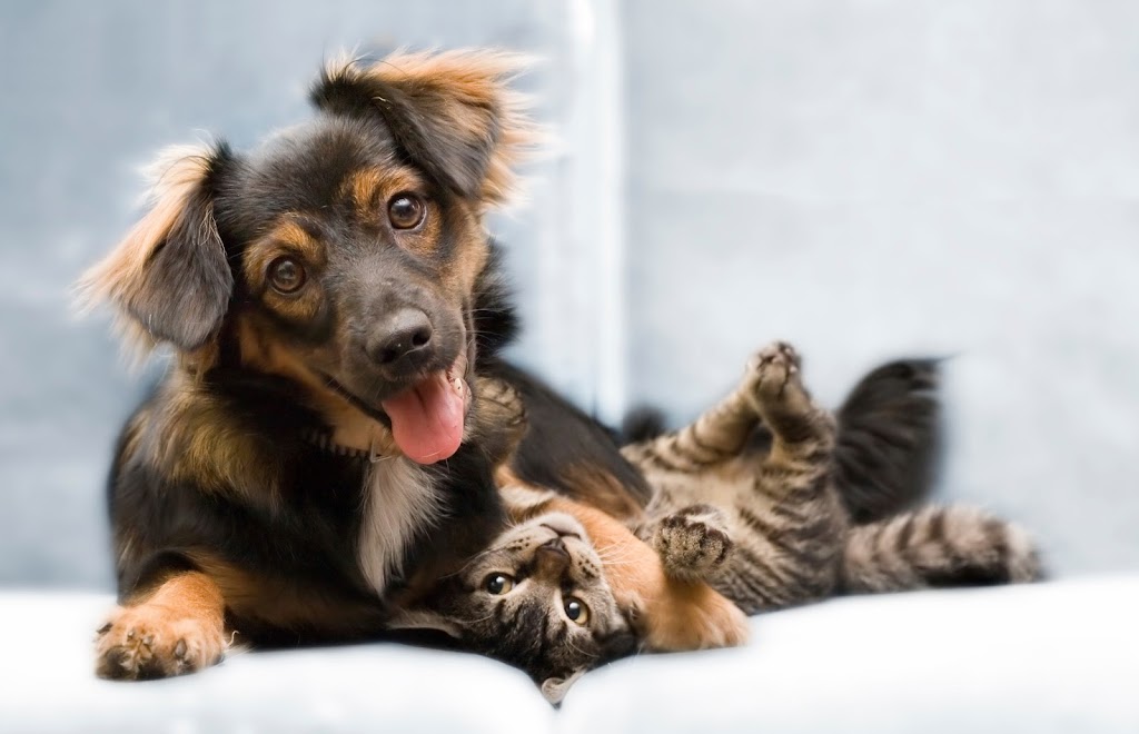 Petcare Animal Hospital in South Jordan