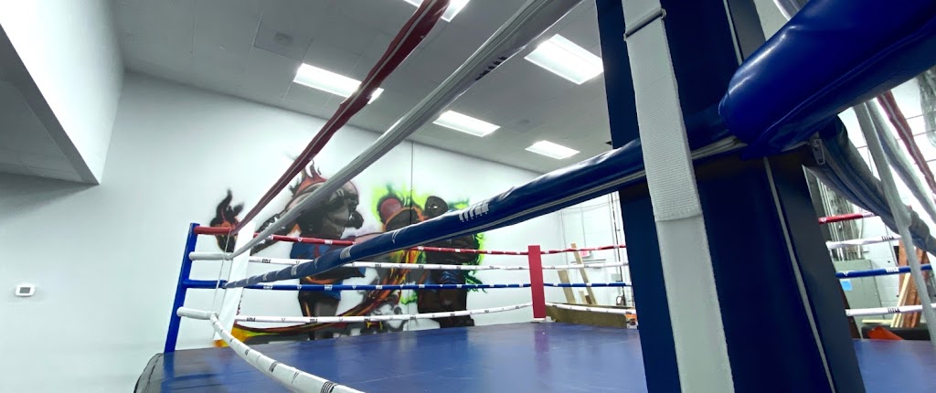  Level Up Boxing & Fitness