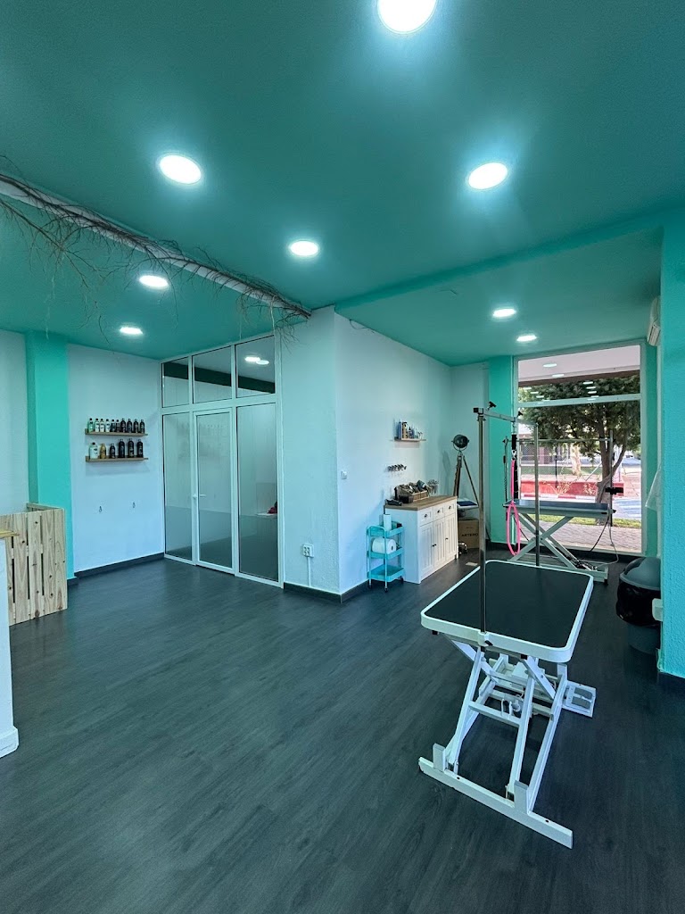 Pari's | Peluqueria Canina y Tienda de Mascotas en Jerez de la Frontera