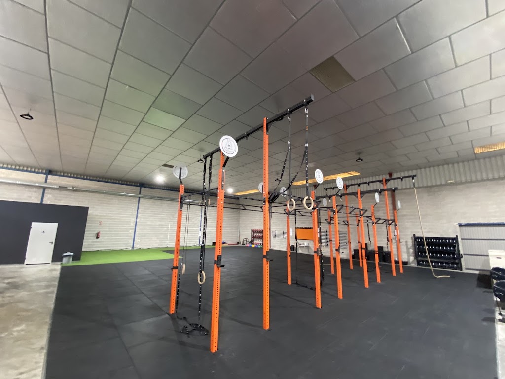 BUDDHA MONKEYS CENTER