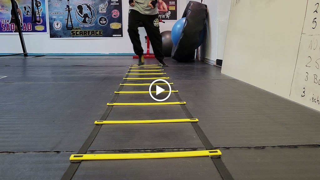  V-FIT HOUSE of CHAMPIONS