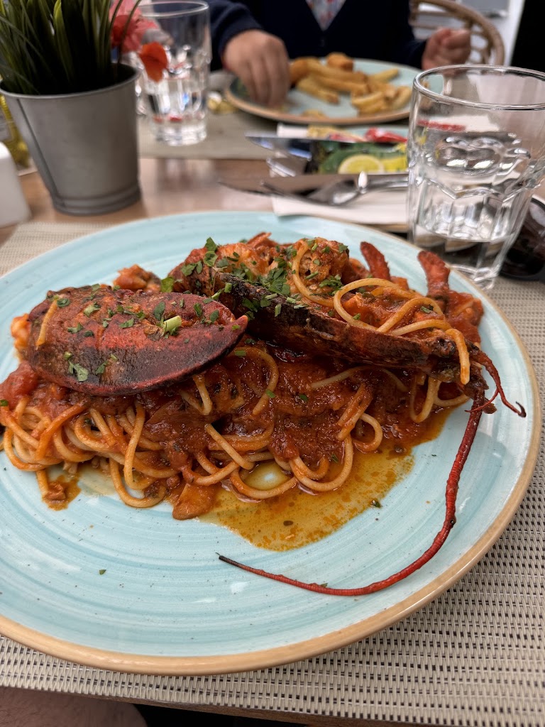 Marietta Tenerife — Mas recientes