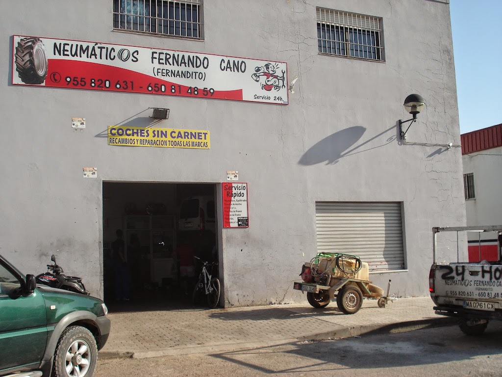 Neumaticos Fernando Cano — Neumatico
