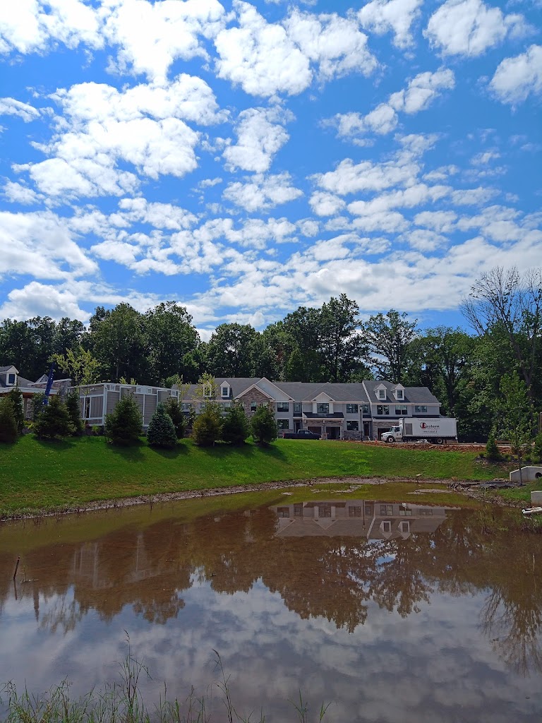 MSC Technology (North America)