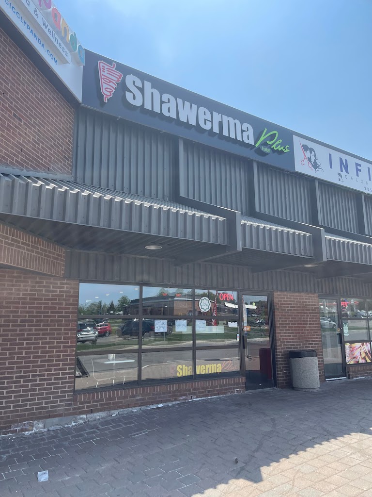 Shawerma Plus - Erin Mills (Shawarma)