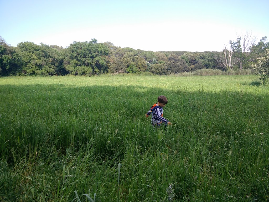 Bosque de Can Colomer